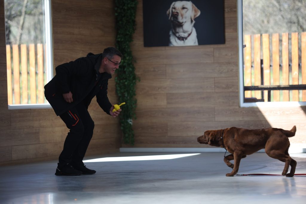 Instructor canin Cluj