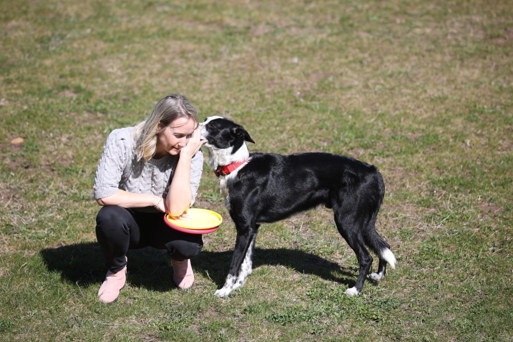 instructor canin