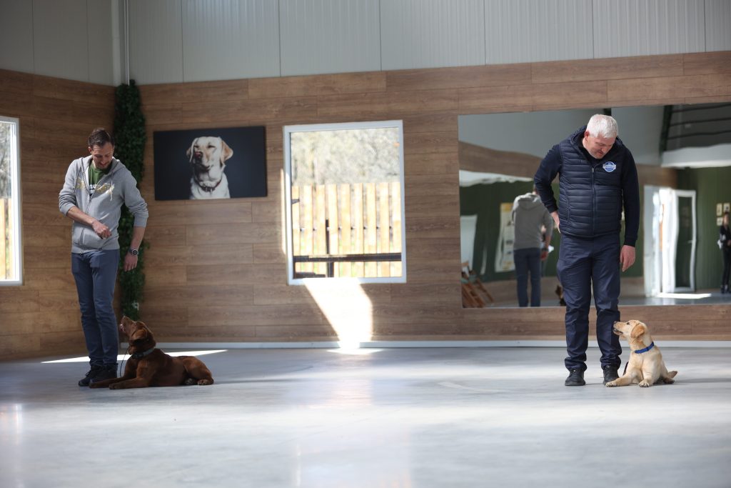 instructori canini acreditati